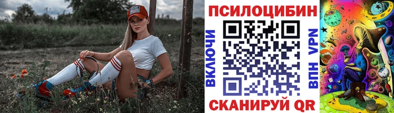 Галлюциногенные грибы Psilocybine cubensis  наркошоп  Берёзовка 